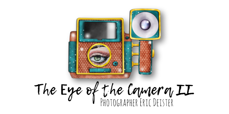 The Eye of the Camera II